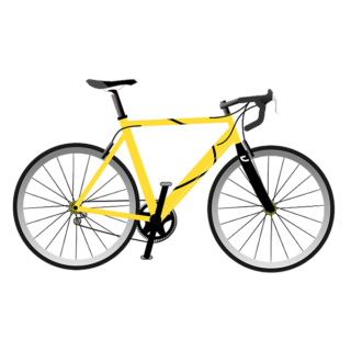 Suspendisse gravida lacus varius